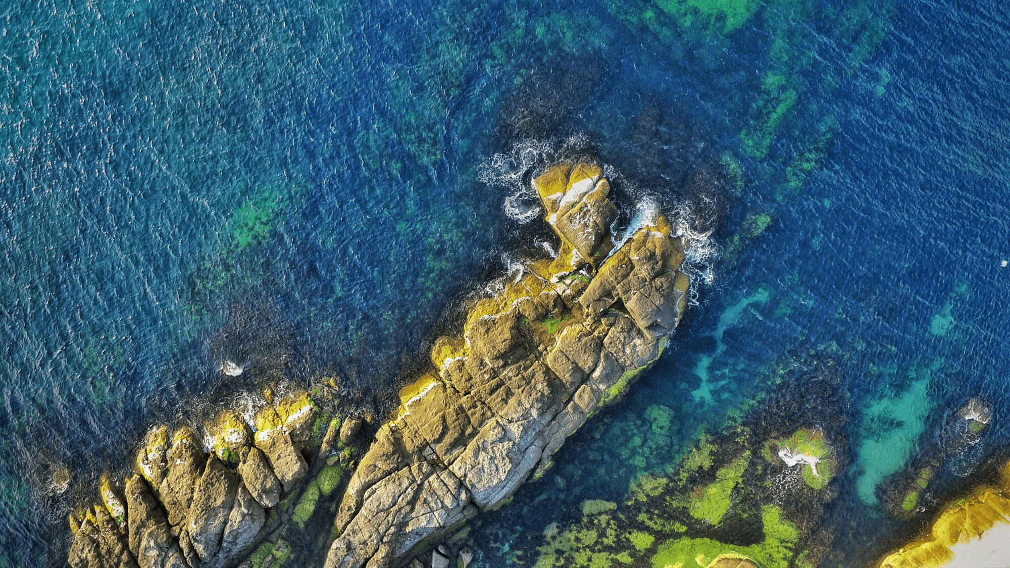 Aerial Photo of a Coast